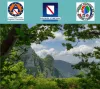 Copertina Piano regionale per la programmazione delle attività di previsione, prevenzione e lotta attiva contro gli incendi boschivi nel triennio 2026-2028